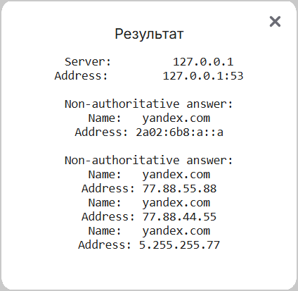 Результат проверки DNS-запросом в WEB-интерфейсе роутера SNR  и B-OptiX
