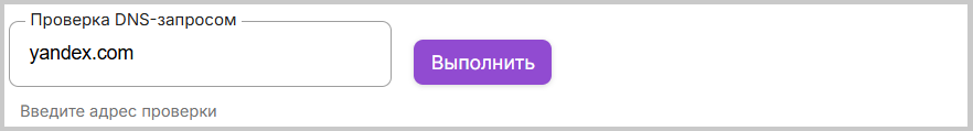 Кнопка проверки DNS в WEB-интерфейсе роутера SNR и B-OptiX